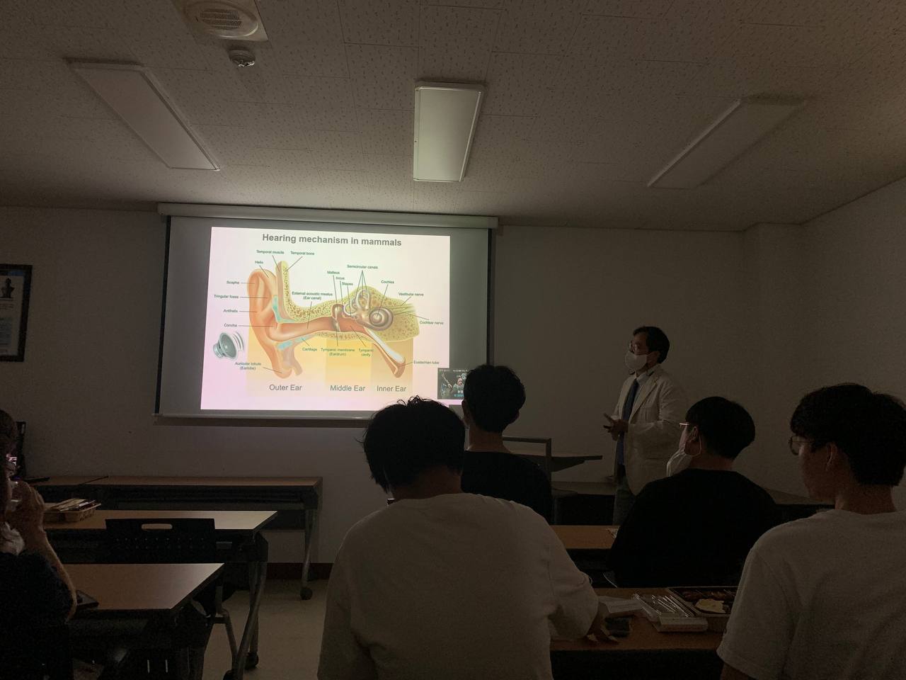 (교육)신정오 교수님 Distinct roles of stereociliary links in the nonlinear sound processing and noise resistance of cochlear outer hair cells 이미지