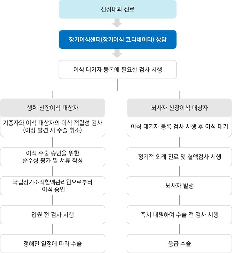 신장이식절차