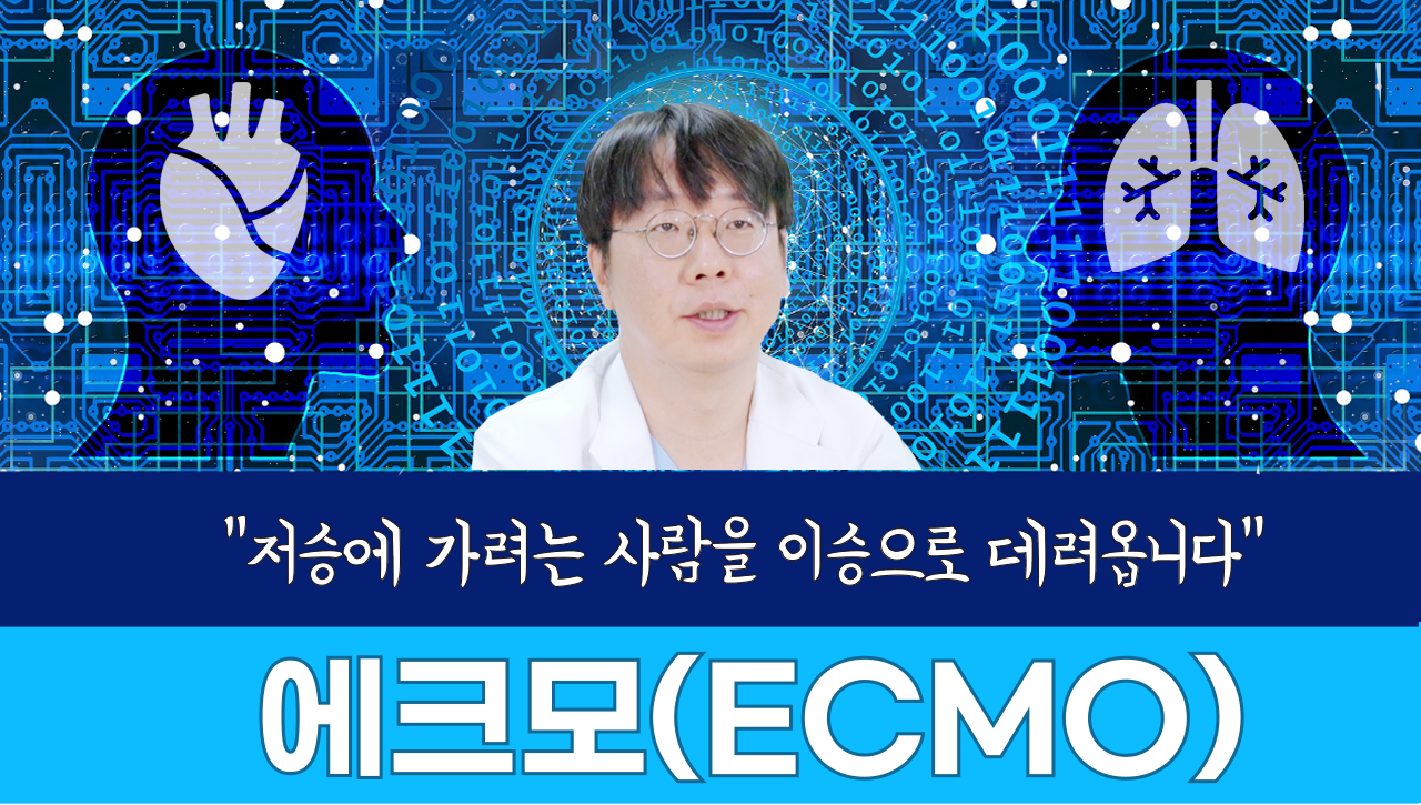 저승에 가려는 사람을 이승으로 데려옵니다 에크모(ECMO)