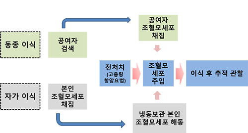 동종 이식 → 공여자 검색 → 공여자 조혈모세포 채집 → 전처치(고용량 항암요법) → 조혈모 세포 주입 → 이식 후 추적 관찰 ,자가 이식 → 본인 조혈모세포 채집 → 냉동보관 본인 조혈모세포 해동 → 조혈모 세포 주입 → 이식 후 추적 관찰