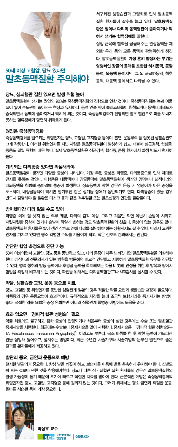 50세 이상 고혈압, 당뇨 있다면 말초동맥질환 주의해야 서구화된 생활습관과 고령화로 인해 말초동맥 질환 환자들이 갈수록 늘고 있다. 말초동맥질환은 팔이나 다리의 동맥혈관이 좁아지거나 막혀서 생기는 혈류장애를 말한다. 심장 근육에 혈액을 공급해주는 관상동맥을 제외한 우리 몸의 모든 동맥에 광범위하게 생긴다. 말초동맥질환이 가장 흔히 발생하는 부위는 엉덩이뼈인 장골의 동맥을 포함한 하지동맥, 콩팥, 동맥, 목동맥 등이지만, 그 외 쇄골하동맥, 철추동맥, 대동맥 등에서도 나타날 수 있다. 당뇨, 심뇌혈관 질환 있으면 발생 위험 높아 말초동맥질환이 생기는 원인의 90%는 죽상동맥경화의 진행으로 인한 것이다. 죽상동맥경화는 녹과 이물질이 쌓여 수도관이 좁아지는 현상과 유사하다. 동맥 안쪽 막에 콜레스테롤이 침착되거나 동맥내피세포가 증식되면서 동맥이 좁아지거나 막히게 되는 것이다. 죽상동맥경화가 진행되면 말초 혈관으로 피를 보내지 못하는 혈류장애가 당연히 뒤따르게 된다. 원인은 죽상동맥경화 죽상동맥경화를 일으키는 위험인지는 당뇨, 고혈압, 고지혈증 등이며, 흡연, 운동부족 등 잘못된 생활습관도 크게 작용한다. 이러한 위험인자를 지닌 사람은 말초동맥질환이 발생하기 쉽고, 더불어 심근경색, 협심증, 중풍도 결릴 위험이 매우 높다. 실제 말초동맥질환은 심근경색, 협심증, 중풍 환자에서 발생 빈도가 현저히 높다. 계속되는 다리통증 있다면 의심해봐야 말초동맥질환이 생기면 다양한 증상이 나타난다. 가장 주된 증상은 파행증. 다리통증으로 인해 제대로 걷지를 못하는 것인데, 파행증은 대동맥이나 장골동맥에 말초동맥질환이 생기면 엉덩이나 넓적다리의 대퇴동맥을 침범해 종아리에 통증이 발생한다. 장골동맥이 막힌 경우엔 운동 시 엉덩이가 아픈 증상을 호소하며, 내장골동맥이 막히면 발기부전 같은 성기능 장애가 동반되기도 한다. 다리통증이 있을 경우 반드시 감별해야 할 질환은 디스크 등과 같은 척추질환 또는 말초신경과 연관된 질환들이다. 방치했다간 다리 잃을 수도 있어 파행증 외에 잘 낫지 않는 족부 궤양, 다리의 감각 이상, 그리고 겨울만 되면 유난히 손발이 시리고, 저릿저릿한 증상이 있거나 손발이 하얗게 변하는 것도 발초동맥질환의 신호다. 증상이 없는 경우도 많다. 말초동맥질환 환자들은 발에 생긴 상처로 인해 다리를 절단해야 하는 상황까지도 갈 수 있다. 따라서 고위험 인자를 가지고 있다면 평소 각별한 주의를 기울여야 하고, 작은 신호도 간과해서는 안된다. 간단한 혈압 측정으로 진단 가능 50세 이상이면서 고혈압, 당뇨 등을 동반하고 있고, 다리 통증이 자주 느껴진다면 말초동맥질환을 의심해야 한다. 심장내과 전문의사가 있는 병원을 방문하면 비교적 간단하고 저렴하게 말초동맥질환 유무를 진단할 수 있다. 병력 청취와 발등 동맥이나 후경골 동맥을 촉지해보는 것을 비롯해, 안정을 취한 후 발목과 팔에서 혈압을 측정해 비교해 보는 것이다. 확진을 위해서는 다리동맥혈관CT나 MRI검사를 실시할 수 있다. 약물, 생활습관 교정, 운동 등으로 치료 당뇨, 고혈압 등 위험인자를 동반한 심혈관계 질환의 경우 적절한 약물 요법과 생활습관 교정이 필요한다. 파행증의 경우 운동요법이 효과적이다. 규칙적으로 시간을 늘려 조금씩 보행거리를 증가시키는 방법이 좋다. 적절한 약물 요법은 증상 완화뿐만 아니라 심혈관계 합병증 예방에도 도움을 준다. 효과 없으면 '경피적 혈관 성형술' 필요 약물 치료에도 불구하고 점차 증상이 진행되거나 처음부터 증상이 심한 경우에는 수술 또는 말초혈관 중재시술을 시행한다. 최근에는 수술보다 중재시술을 많이 시행한다. 중재시술은 '경피적 혈관 성형술(PTA, Perculaneous, Transluminal Angioplasty)' 이라고 부른다. 국소 마취를 한 후 막힌 동맥에 가느다란 관을 삽입해 뚫어주고, 넓혀주는 방법이다. 최근 수년간 시술기구와 시술기법의 눈부신 발전으로 좋은 결과를 환자들에게 제공하고 있다. 발관리 중요, 금연과 운동으로 예방 철저한 발관리가 중요하다. 항상 발을 깨끗이 하고, 보습제를 이용해 발을 촉촉하게 유지해야 한다. 신발도 꽉 끼는 것보다 편한 것을 착용해야 한다. 당뇨나 다름 심/뇌혈관 질환 환자들의 경우엔 말초동맥질환의 발생 가능성이 높기 때문에 조기에 빠르고 적절한 치료를 받아야 한다. 근본적인 예방은 죽상동맥경화의 위험인자인 당뇨, 고혈압, 고지혈증 등에 걸리지 않는 것이다. 그러기 위해서는 평소 금연과 적절한 운동, 올바를 식습관 등이 가장 중요하다.