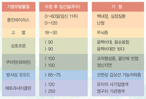 발달시기에_따라_기형유발