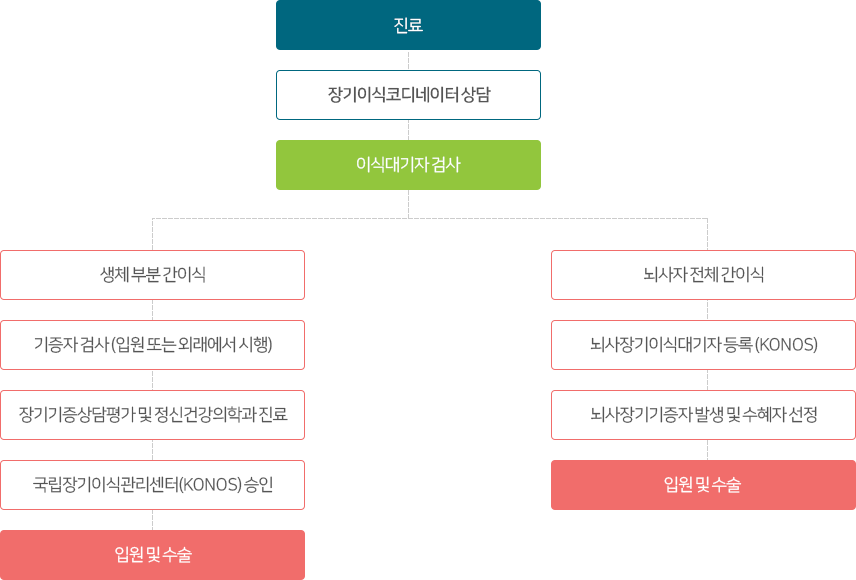 진료 장기이식코디네이터상담 이식대기자 검사 생체 부분간이식 기증자 검사(입원 또는 외래에서 시행) 장기기증상담평가 및 정신건강의학과 진료 국립장기이식관리센터(KONOS) 승인 입원 및 수술 뇌사자 전체 간이식 뇌사장기이식대기자등록(KONOS) 뇌사장기기증자 발생 및 수혜자 선정 입원 및 수술