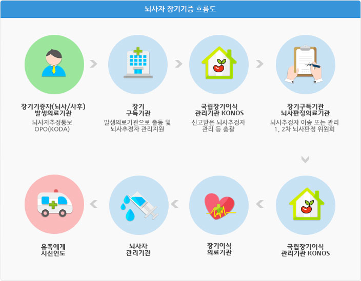 뇌사자 장기기증 흐름도. 장기기증자(뇌사/사후) 발생 의료기관 뇌사자추정통보OPO(KODA) - 장기 구득기관 발생의료기관으로 출동 및 뇌사추정자 관리지원 - 국립장기이식 관리기관 KONOS 신고받은 뇌사추정자 관리 등 총괄 - 장기구득기관 뇌사판정의료기관 뇌사추정자 이송 또는 관리 1,2차 뇌사판정 위원회 - 국립장기이식 관리기관 KONOS - 장기이식 의료기관 - 뇌사자 관리기관 - 유족에게 시신인도