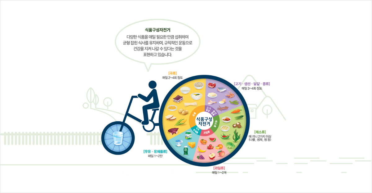 식품구성자전거 다양한 식품을 매일 필요한 만큼 섭취하여 균형 잡힌 식사를 유지하며, 규칙적인 운동으로 건강을 지켜나갈 수 있다는 것을 표현하고 있습니다. [곡류] 매일 2~4회 정도, [고기·생선·달걀·콩류] 매일 3~4회 정도, [채소류] 매 끼니 2가지 이상(나물, 생채, 쌈 등), [과일류] 매일 1~2개, [우유·유제품류] 매일 1~2잔