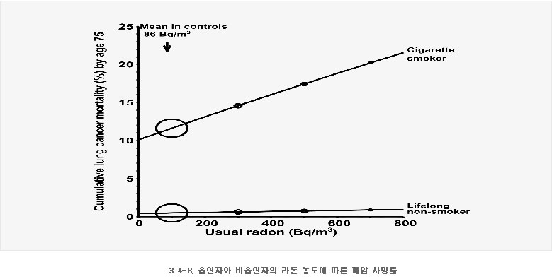 3 4-8. 흡연자와 비흡연자의 라돈 농도에 따른 폐암 사망률