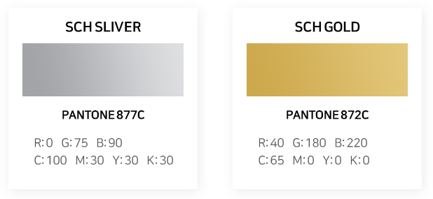 SCH SLIVER PANTONE 877C R:0 G:75 B:90 C:100 M:30 Y:30 K:30, SCH GOLD PANTONE 872C R:40 G:180 B:220 C:65 M:0 Y:0 K:0