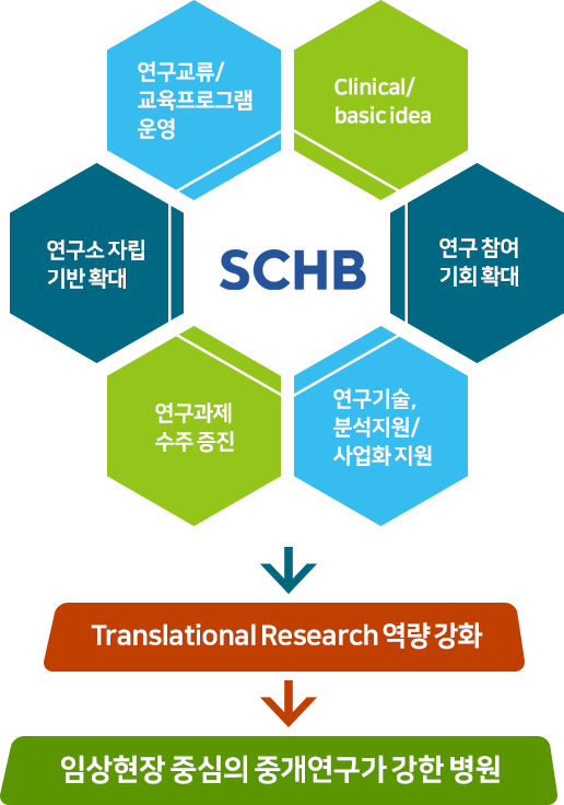 SCH 연구교류 교육프로그램운영 ,Clinical-basic idea, 연구 참여 기회 확대. 연구기술,분석지원 - 사업화 지원, 연구과제수주 증진, 연구소자립 기반확대 → Translational Research → 역량 강화 임상현장 중심의 중개연구가 강한 병원